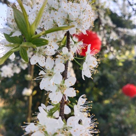 🐬🌈奮乧🐬🌈