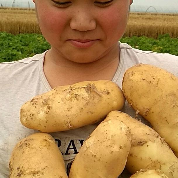 种土豆最可爱的人