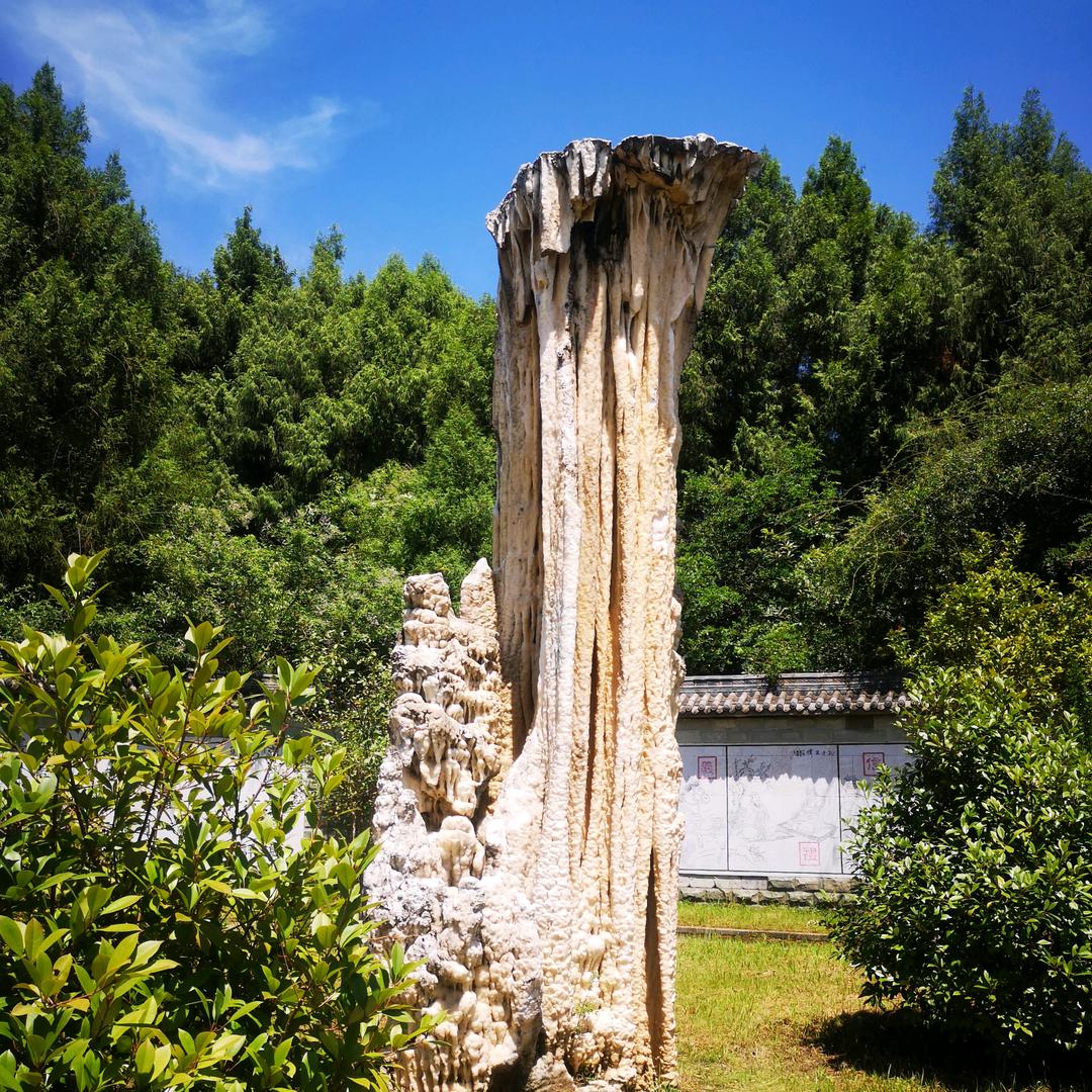 飃杨褁嗨