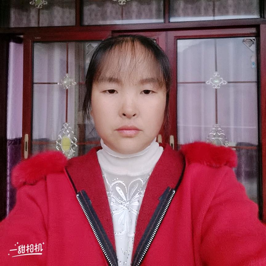 成信菊