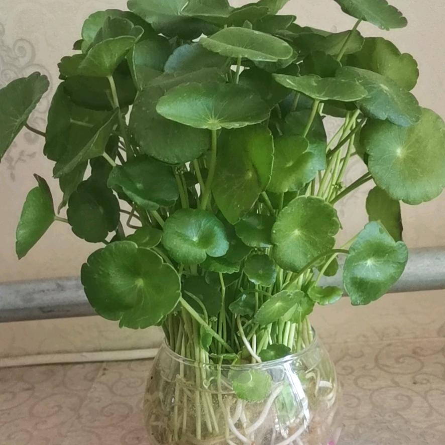 千里之行，始于足下