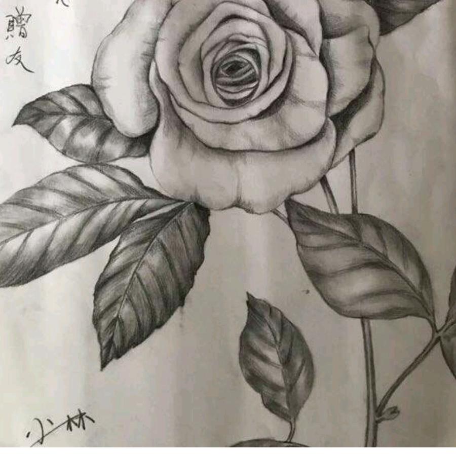 月亮70414💔💔💔💔