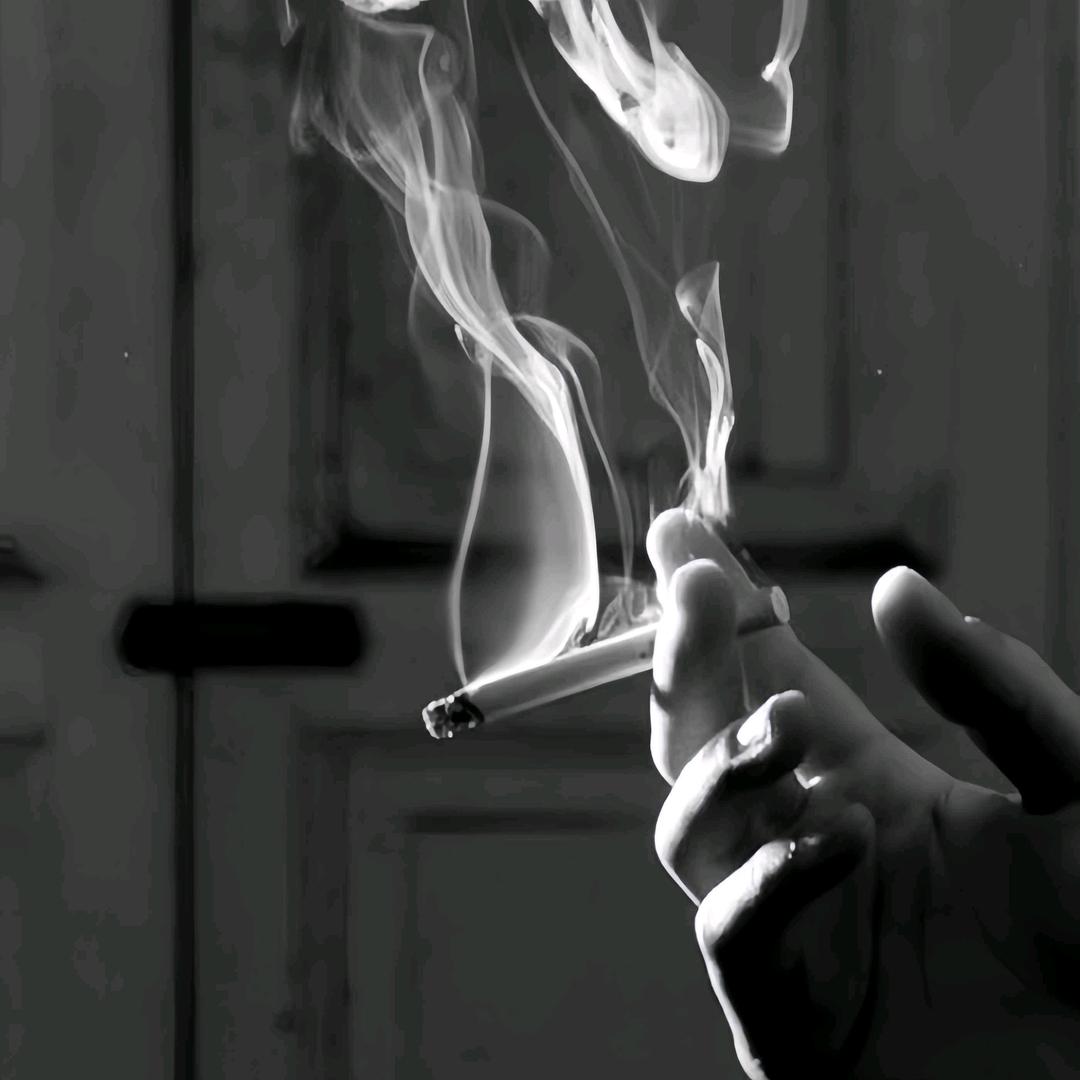燃烬红尘两指间
