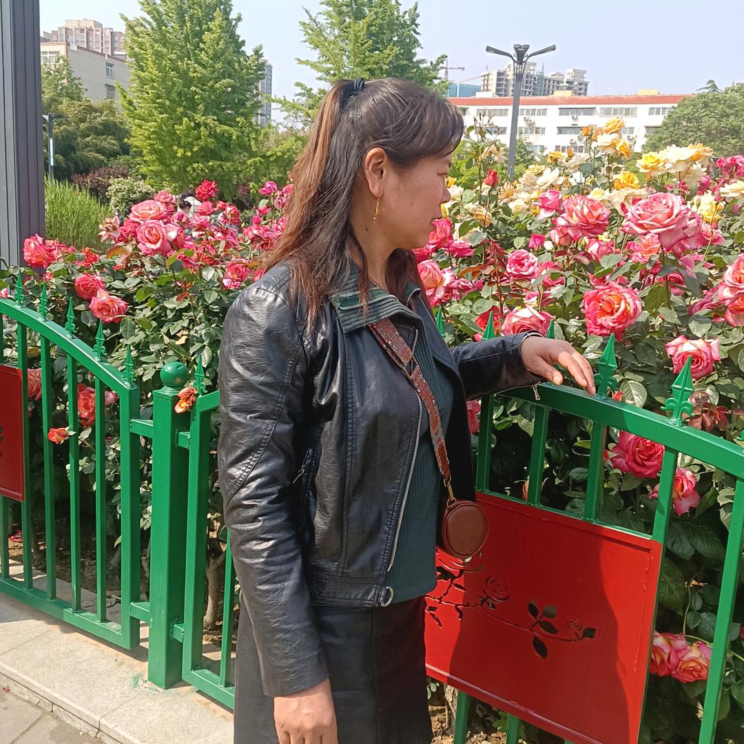 邵九妹。淮南牛肉汤。