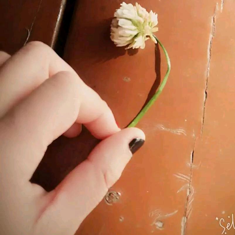 栗子呀