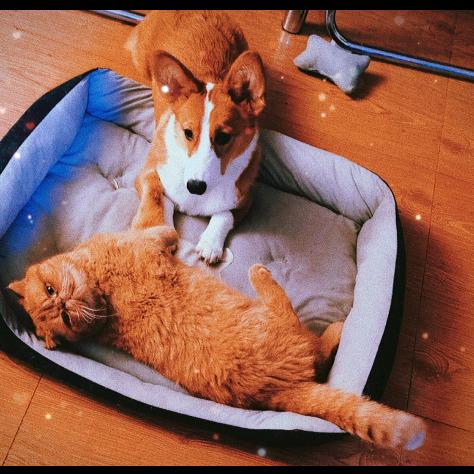 我们会一起去^0^