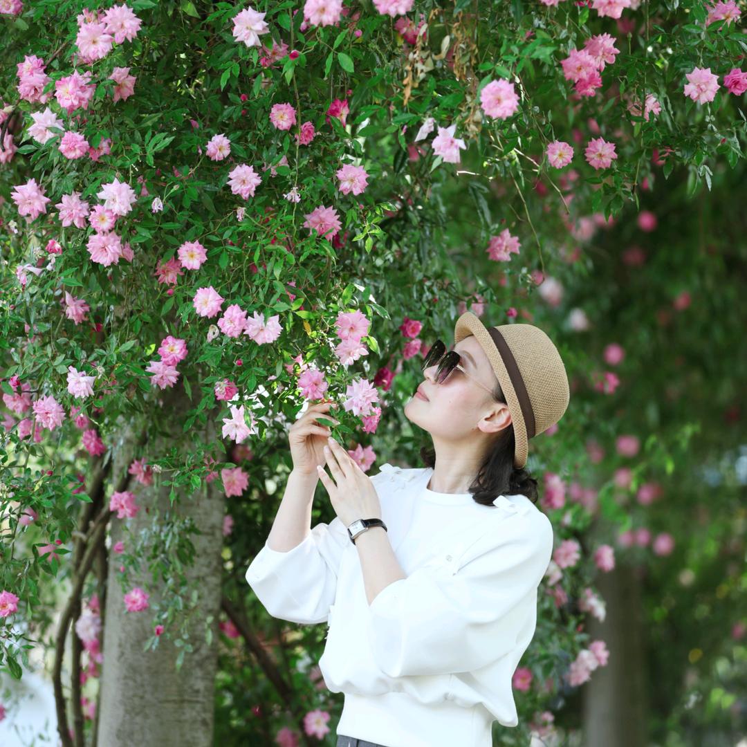 芬