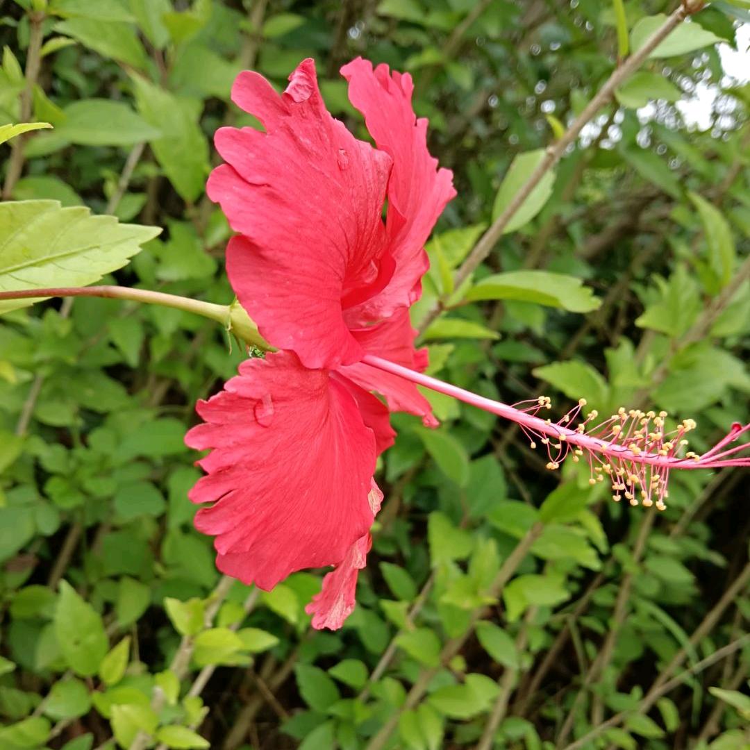 阳光正能量