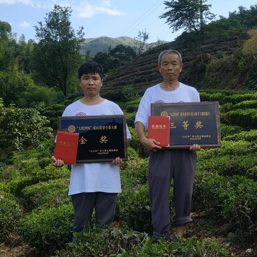霍谷茶业
