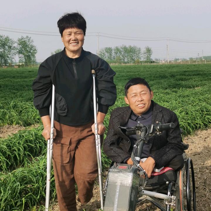 鑫蓝黄花菜