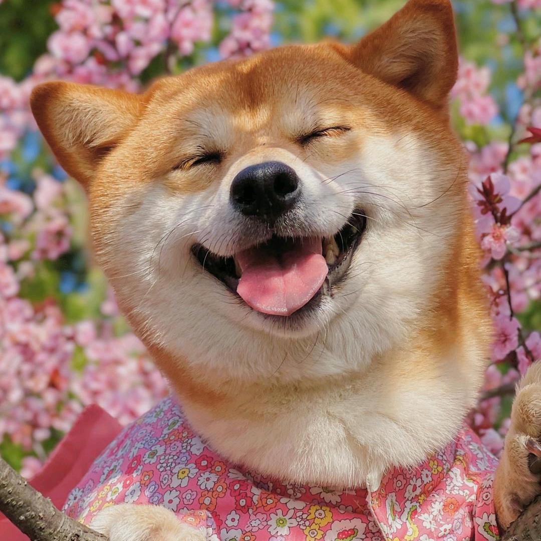 那天车窗起雾