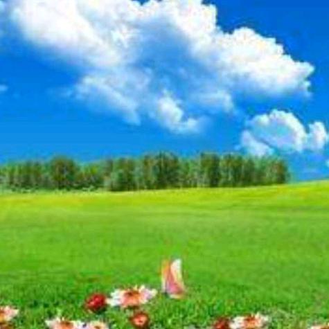 明天会更好的小快乐