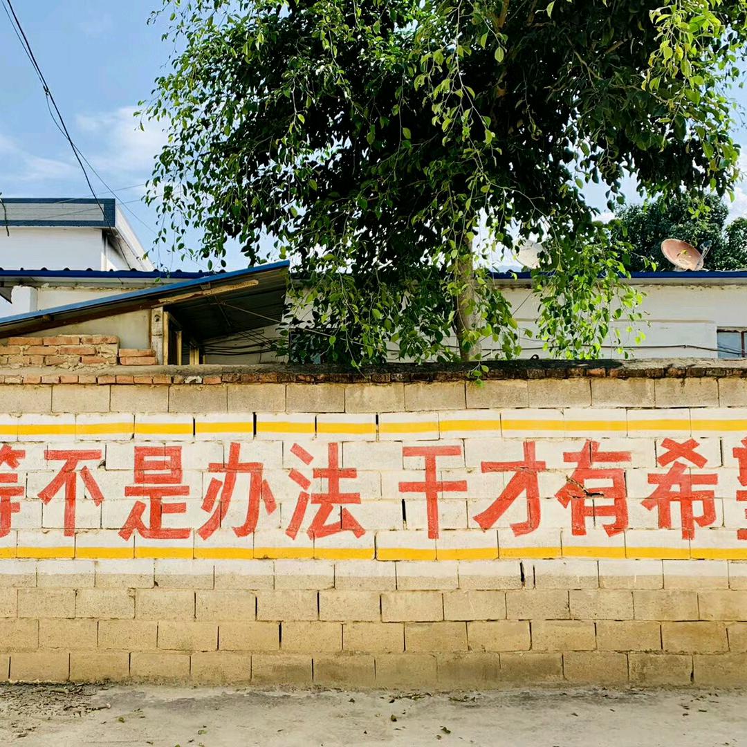 浪子～回头