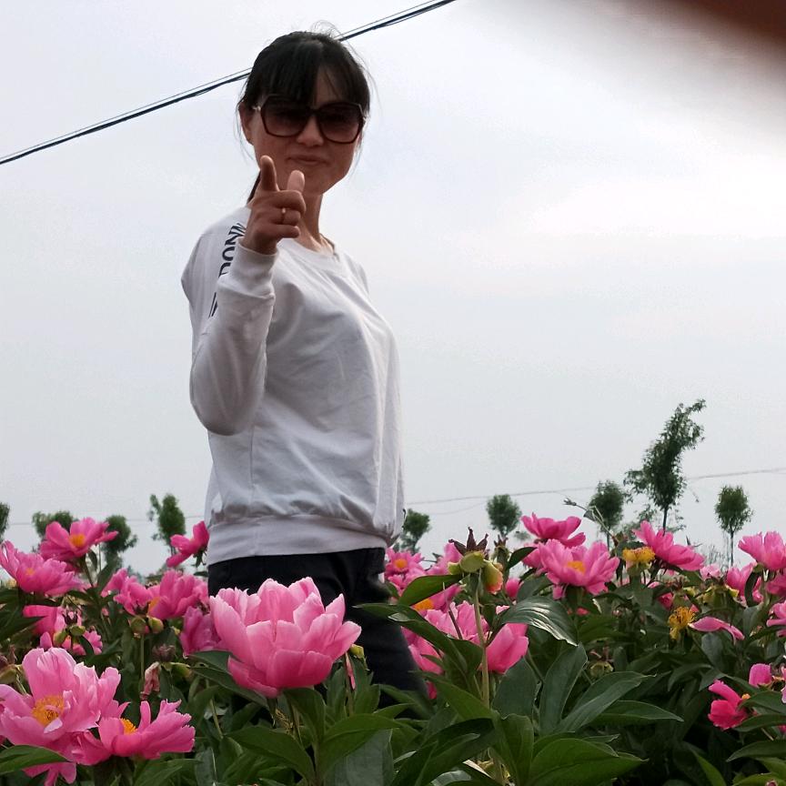 瓷微崔