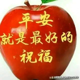 遨宇