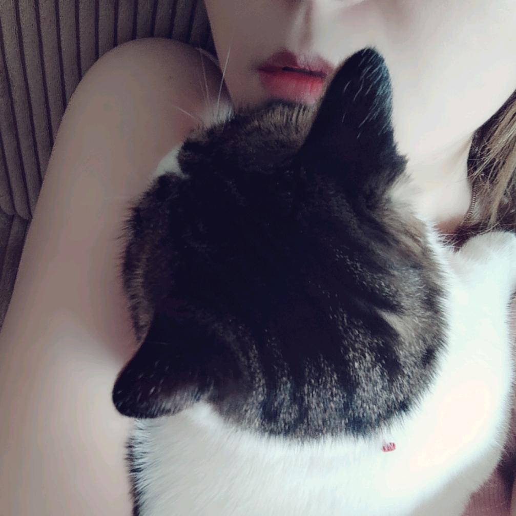 脑壳秃瓢的年
