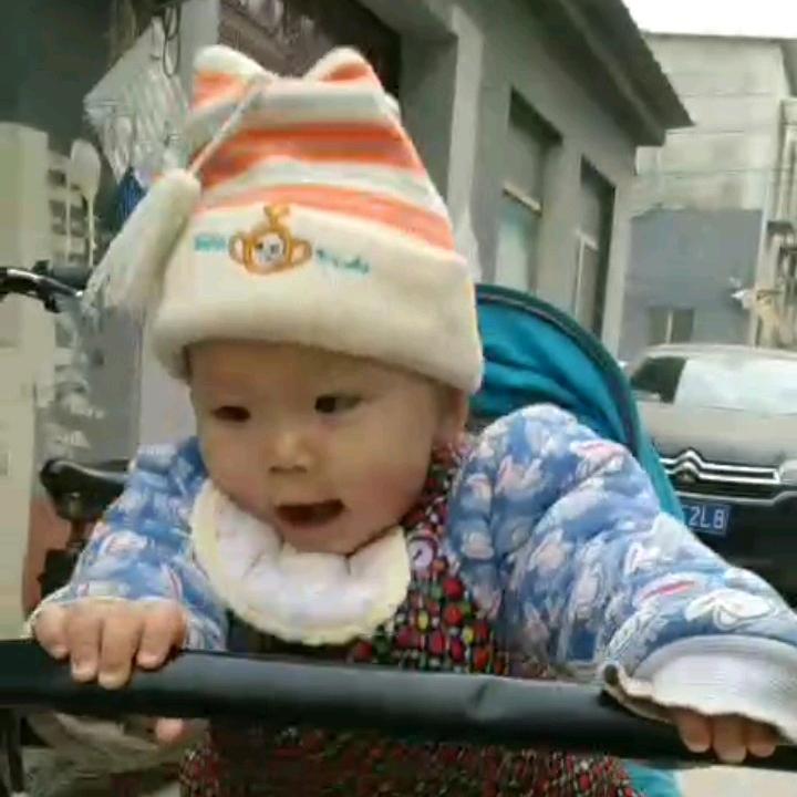 河南豫东见哥