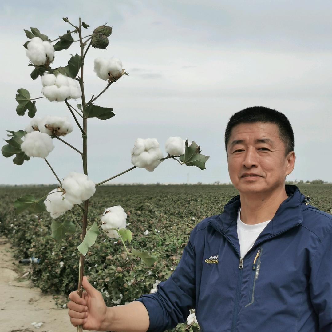 合信种业刘虎