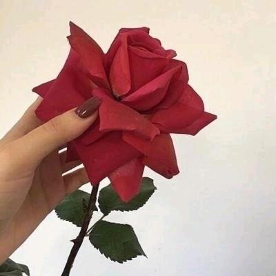 @娜