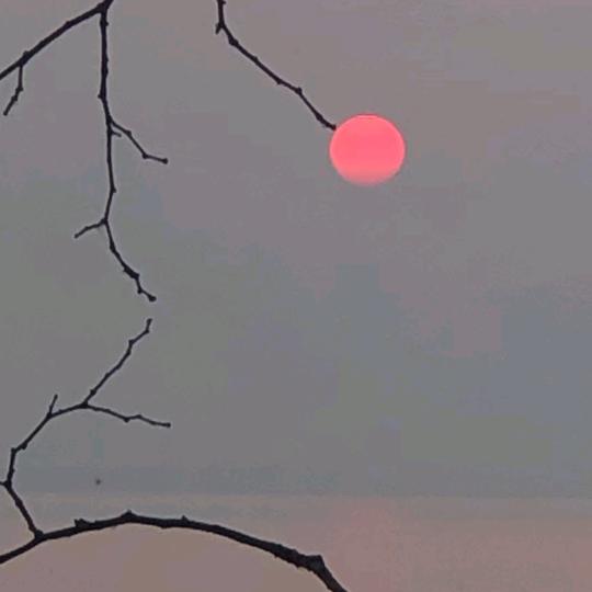 幸福靠自己