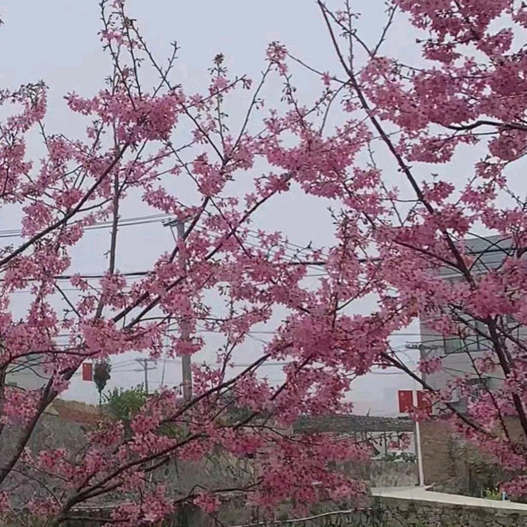 香水