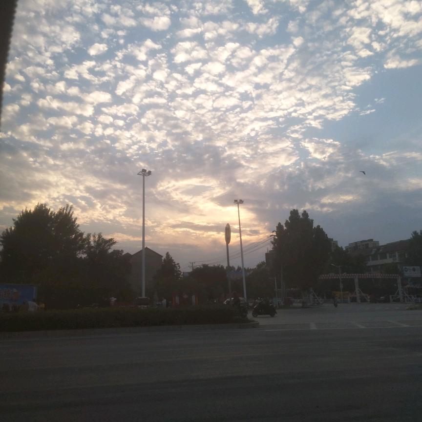 大山（广原寄卖行）