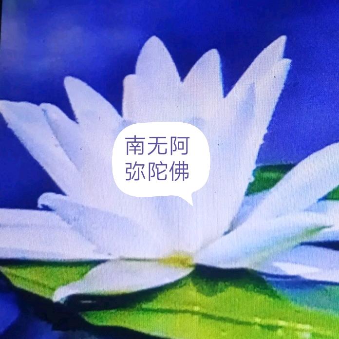 欢喜随缘