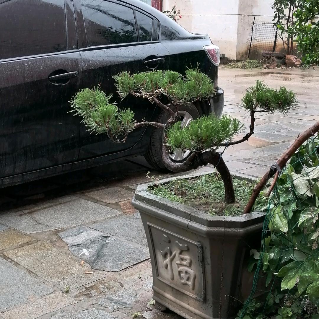 一生平安。