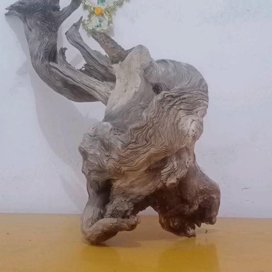 用户98145553585