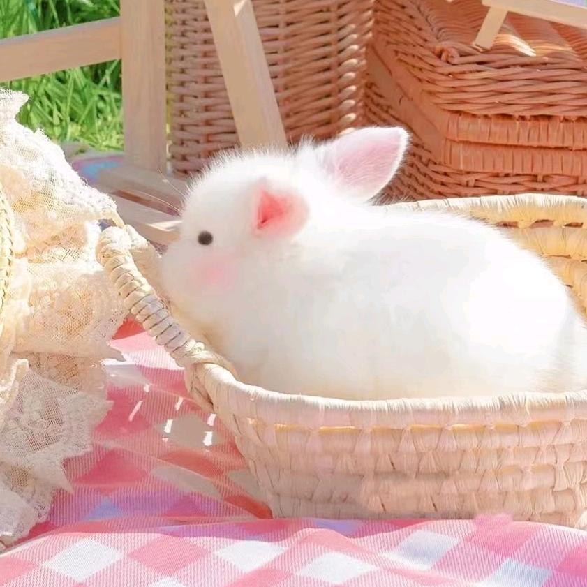 一番聆听