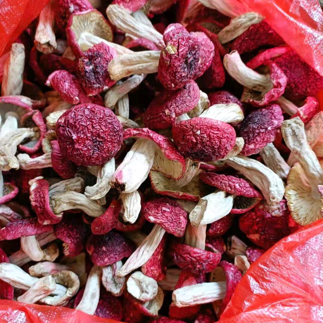 红姑批发李老板