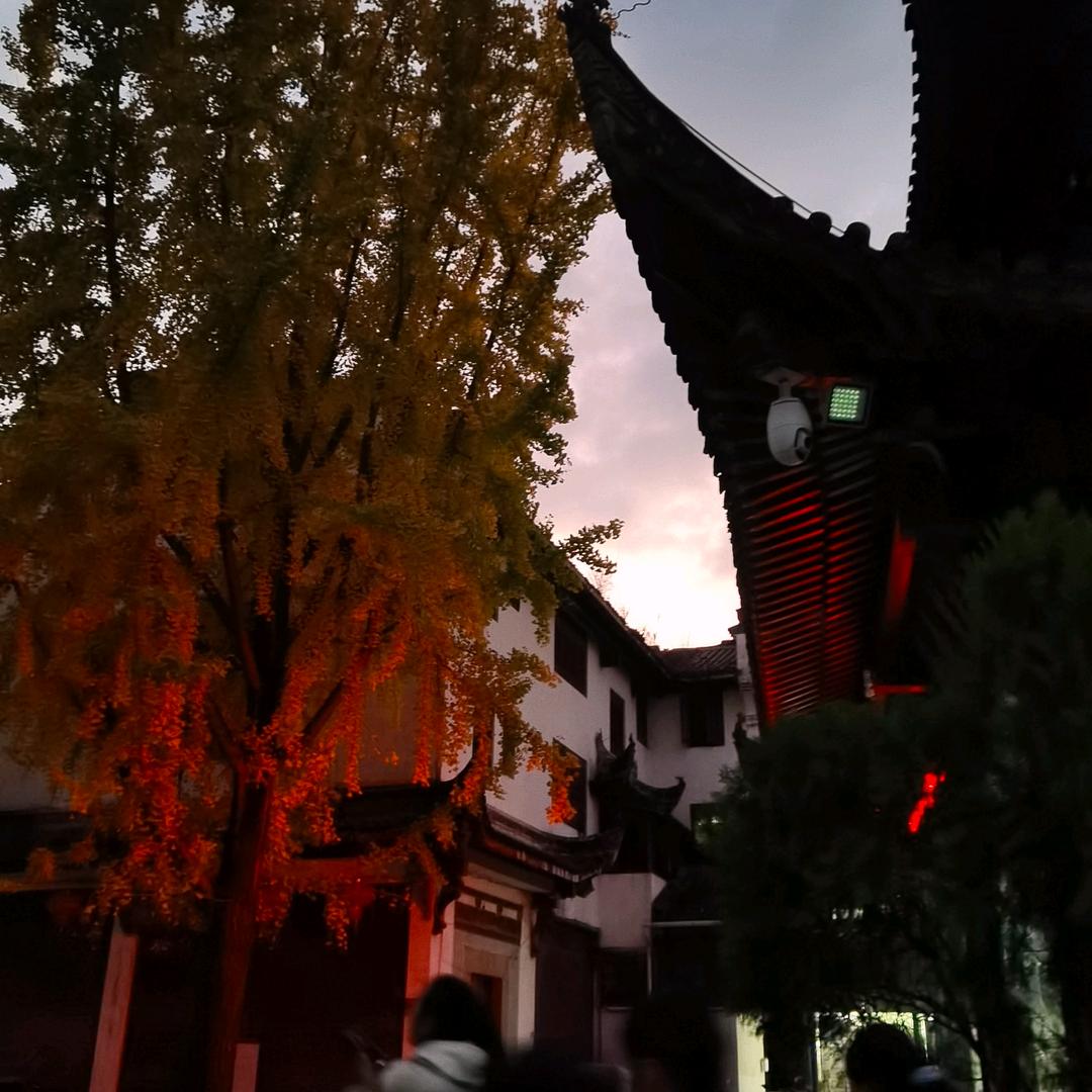 麻辣鱿鱼  徐