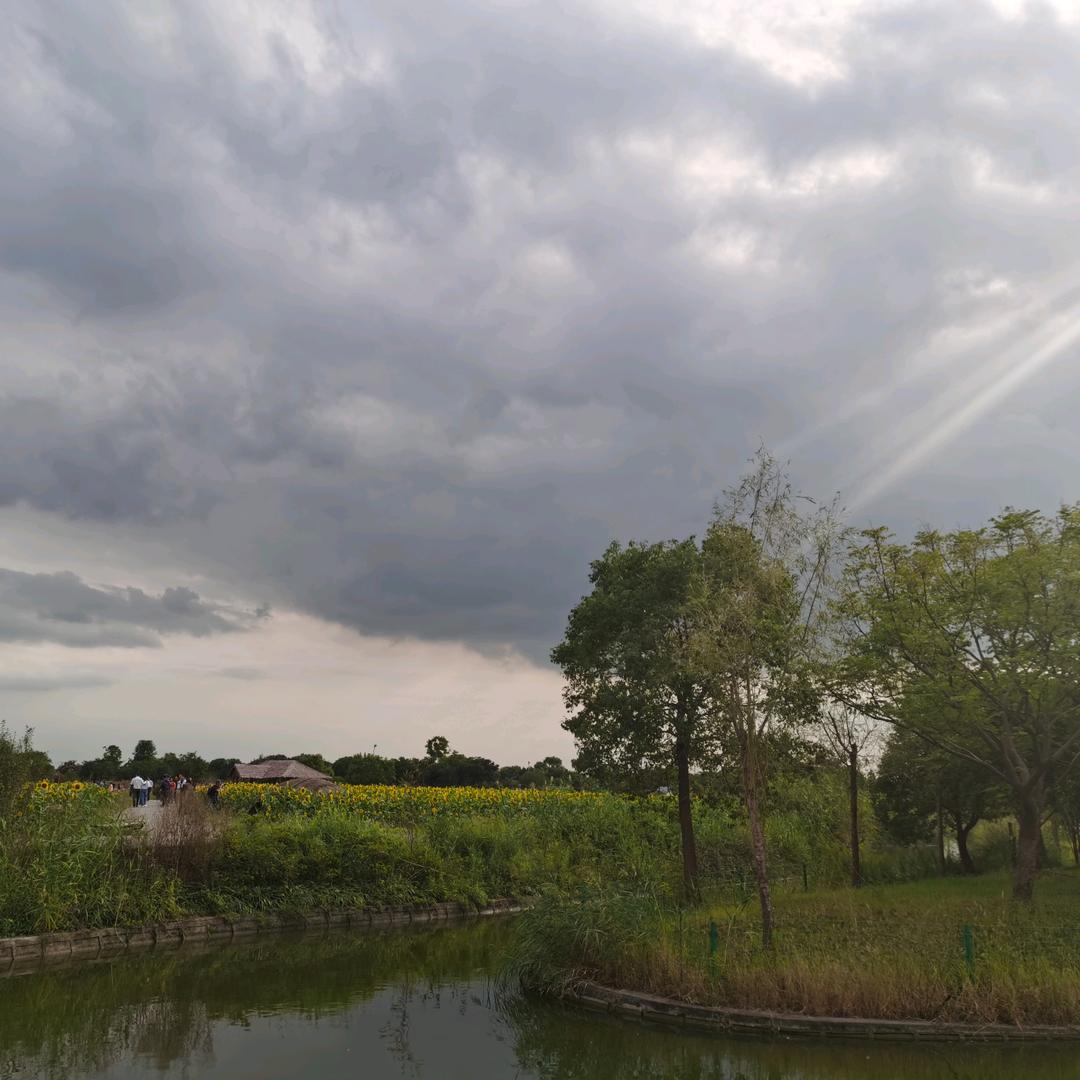 进出口风险控制执行官