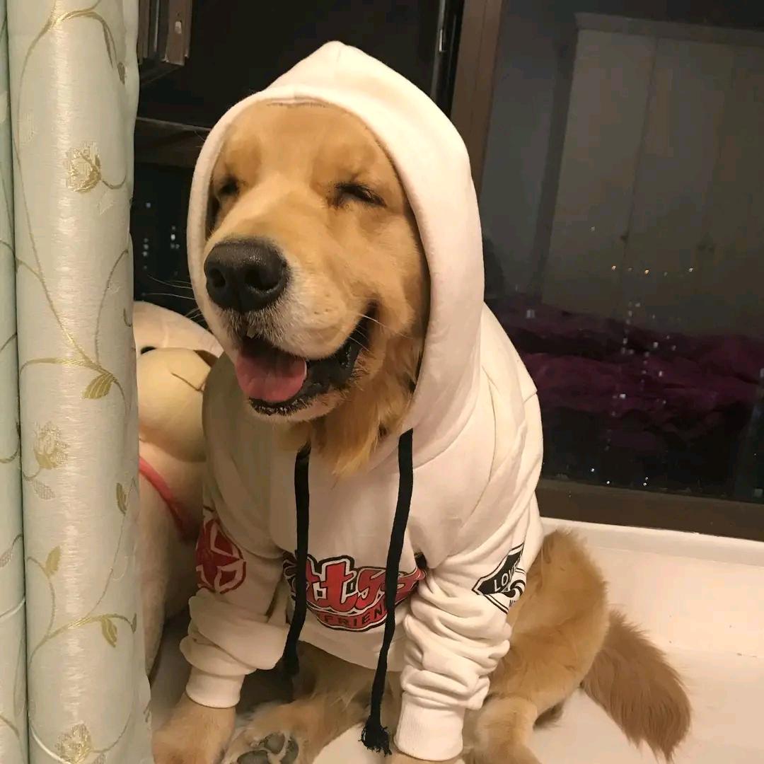 朱成林