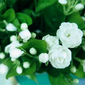 单身奶奶，岁月不饶人