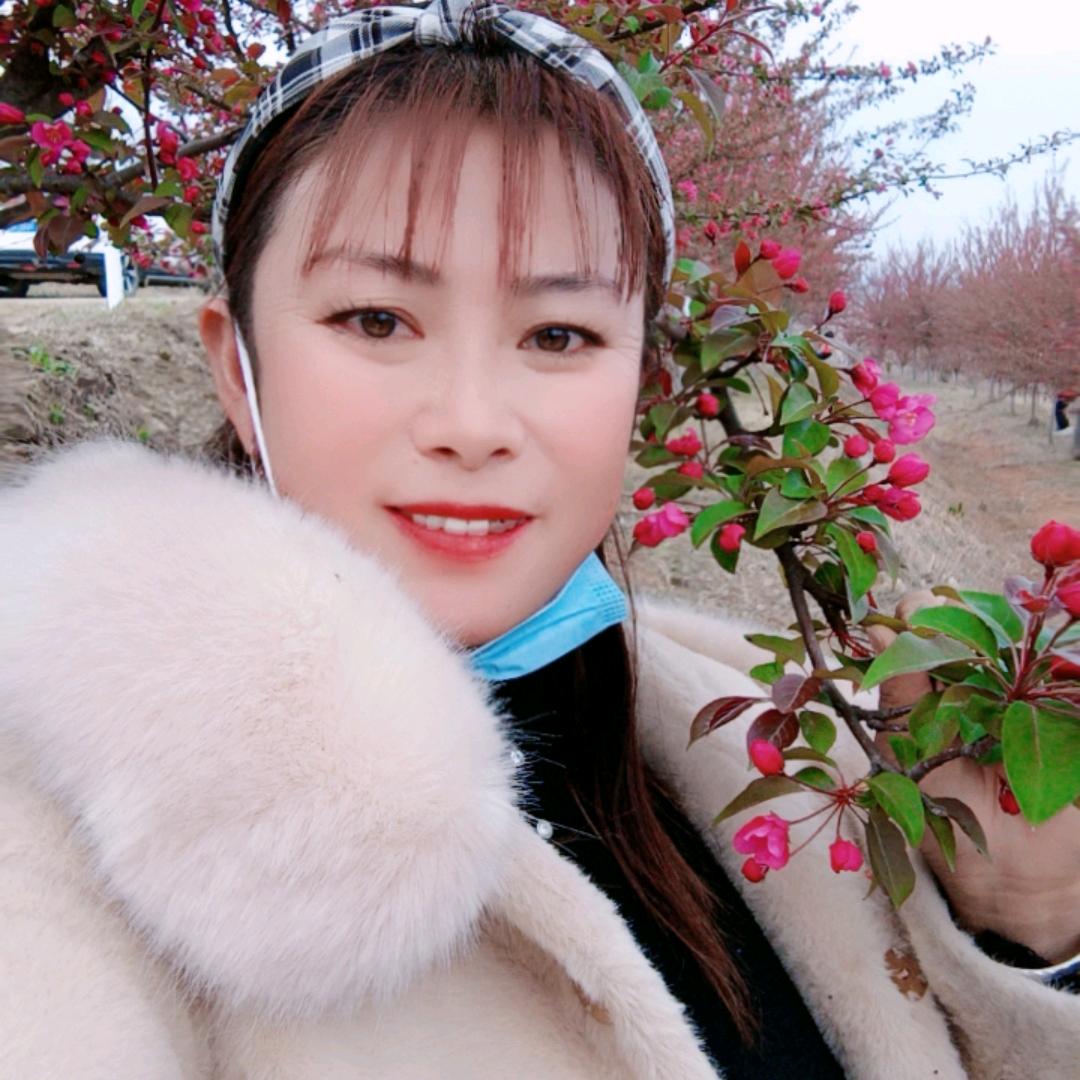 快乐梅花！沈