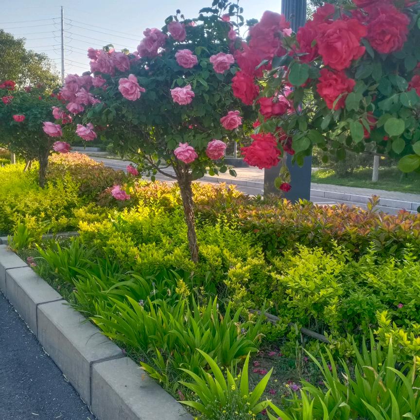 一生平安(♯｀∧´)