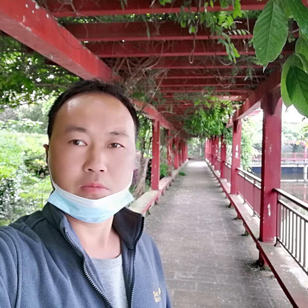随县东伟猕猴桃