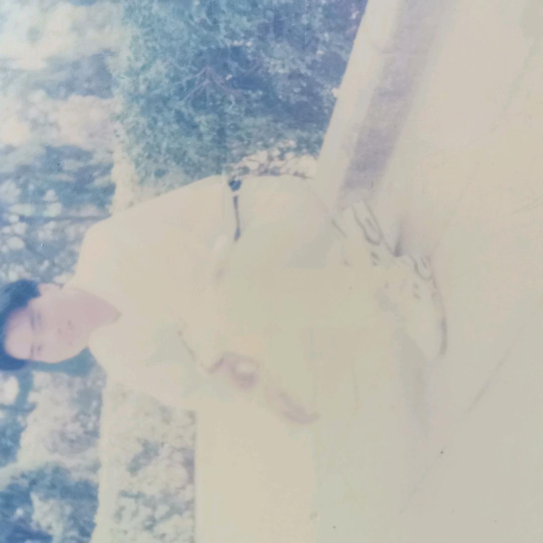 guangdong65816