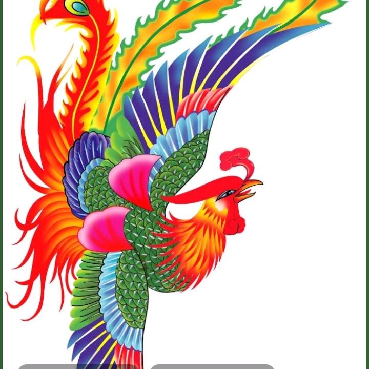 与鳯同飛