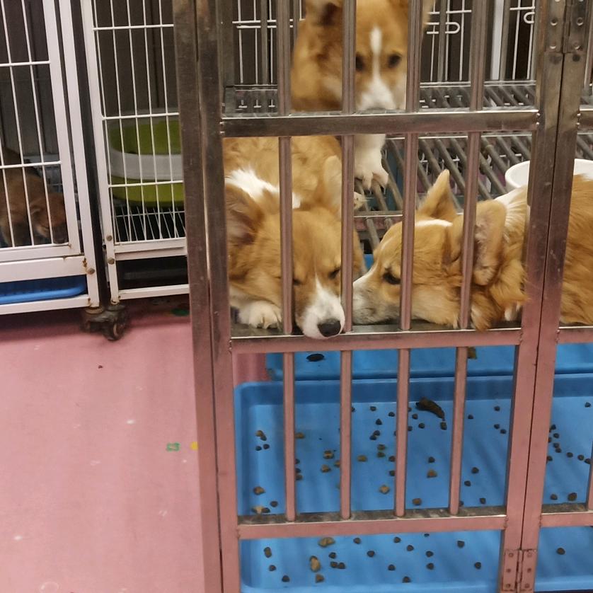 我爱喝白开水