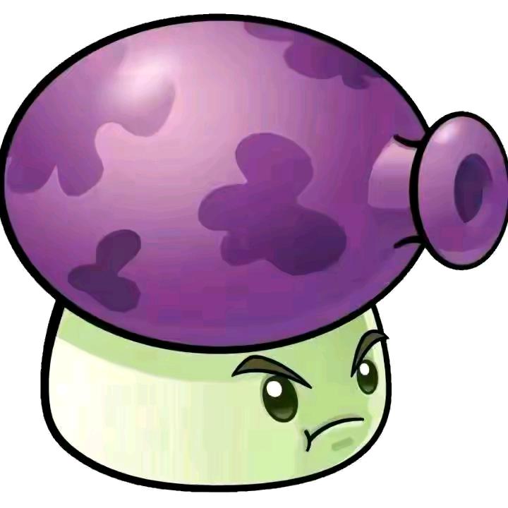 孤独浪漫的国王