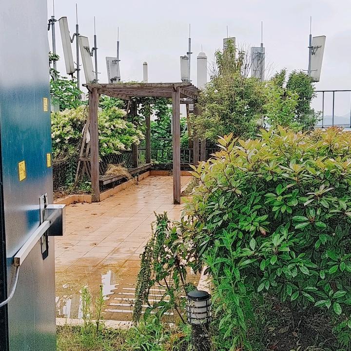 H@G辉哥