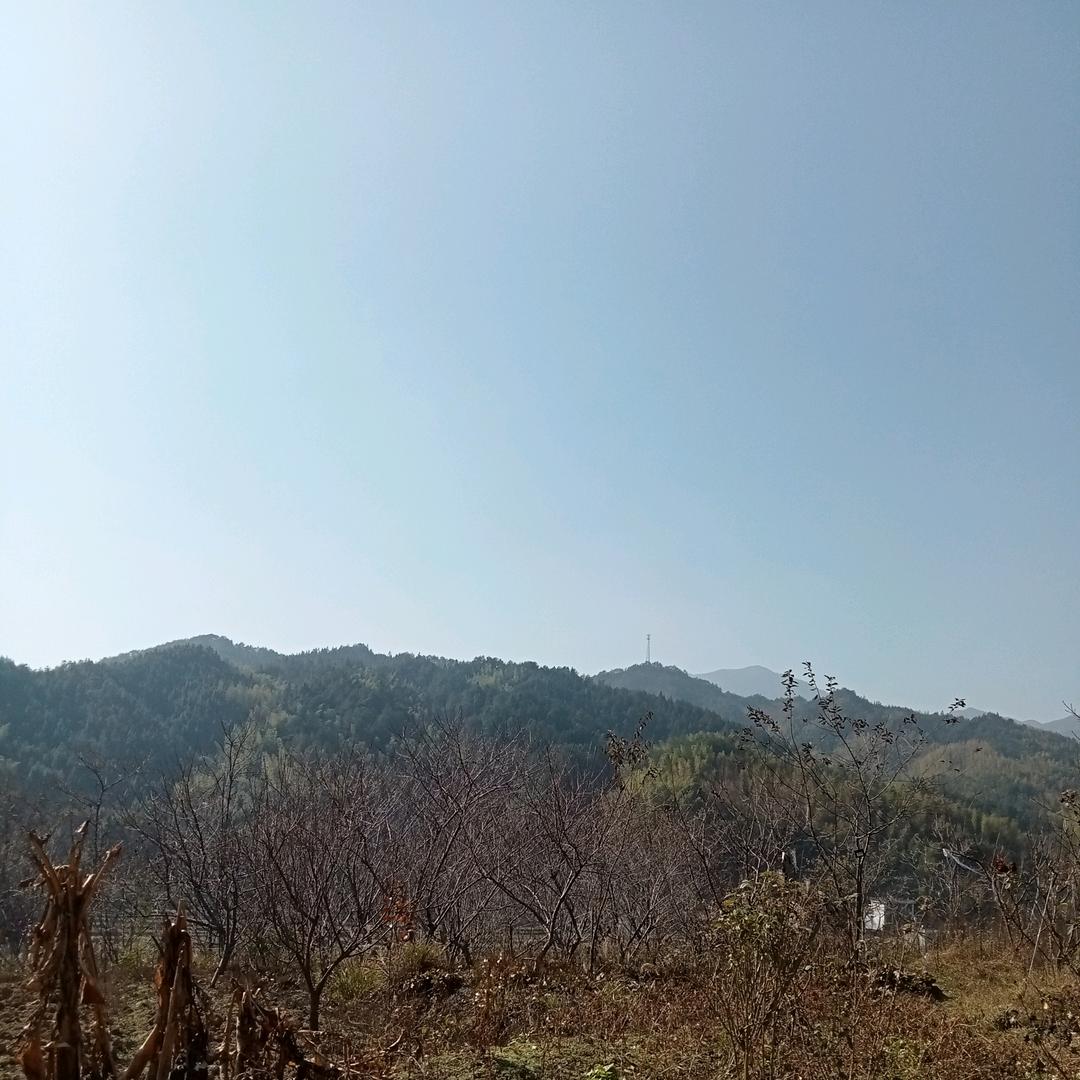 不渡人间