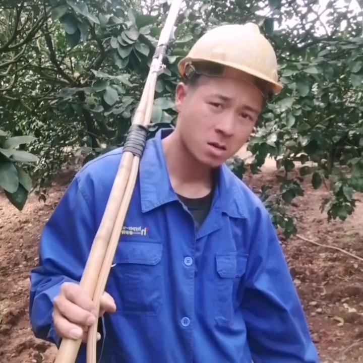 农产哥生鲜