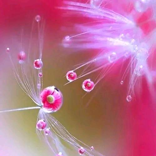 雨末春晓(拒绝合拍)