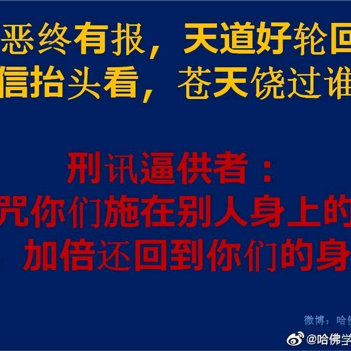 桂香心语