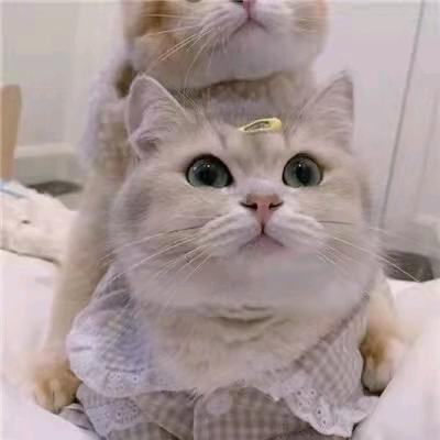 我想在哪里？