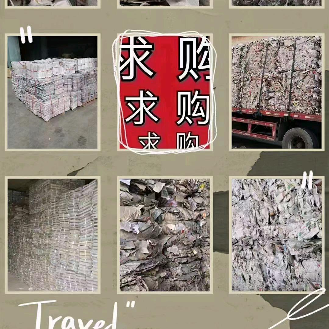 全国废报纸厂家采购商窦文艺