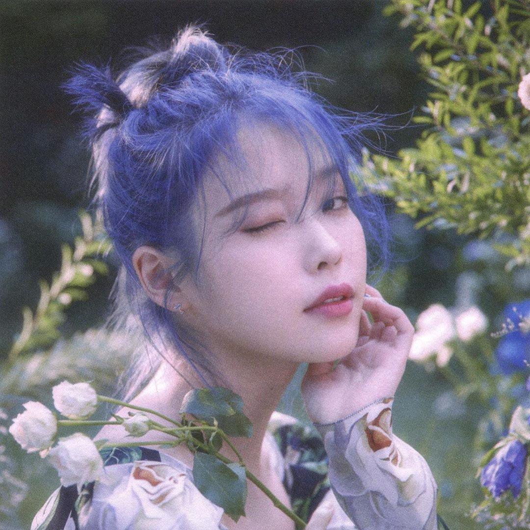 知意-
